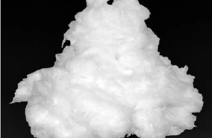 شرکت ساپرا ویسمن